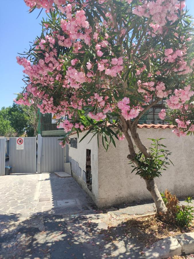 Casa Vacanze Fiumicino Ngoại thất bức ảnh